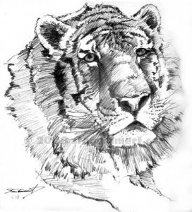 tig11